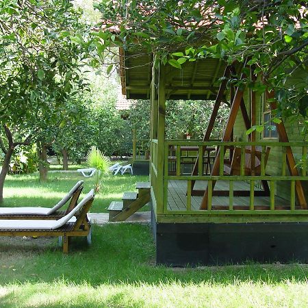 Hotel Yavuz Bungalow Cirali Exterior photo